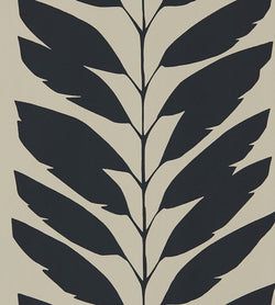 Color – Liquorice