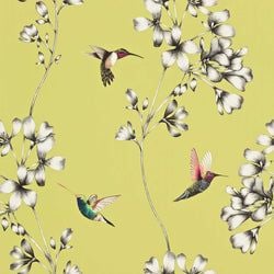 Color – Gooseberry