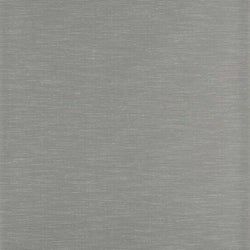Color – Silver Birch