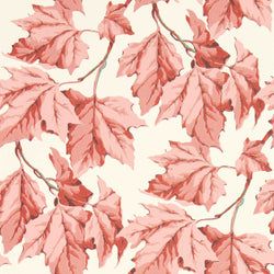 Color – Rose Quartz