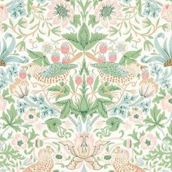 Color – Cochineal Pink