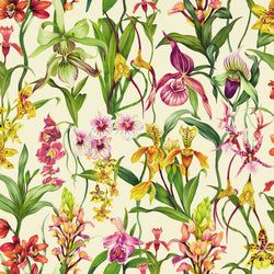 Color – Parchment/Forest/Azalea