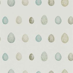 Color – Eggshell/Ivory