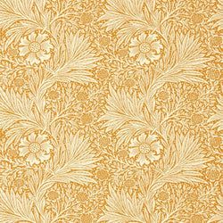 Color – Orange