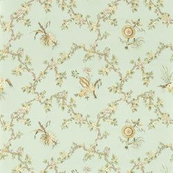 Color – Aphrodite/Blush
