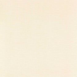 Color – Nude