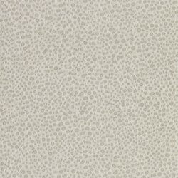Color – Paris Grey