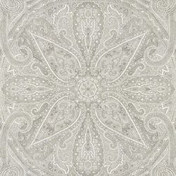 Color – Silver