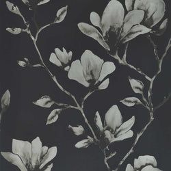 Color – Onyx/Silver