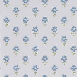 Color – Pacific - HHHW113163