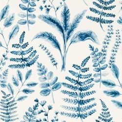 Color – Denim