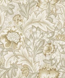 Color – Latte
