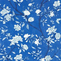 Color – Lazuli