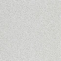 Color – Snow