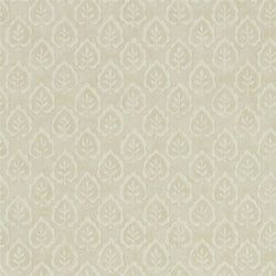 Color – Cream