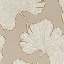 Color – Champagne
