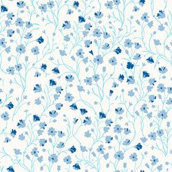Color – Light Blue
