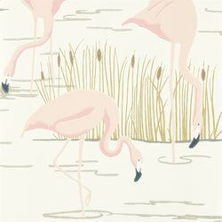 Color – Champagne / Rose / Gold