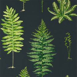 Color – Botanical Green/Charcoal