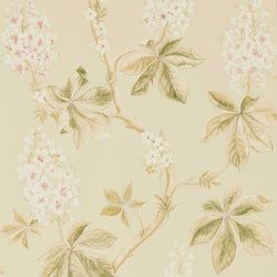 Color – Coral/Bayleaf