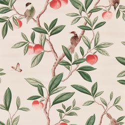 Color – Powder/ Sage / Peach