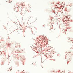 Color – Amanpuri Red