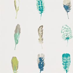 Color – Lagoon / Zest / Gooseberry