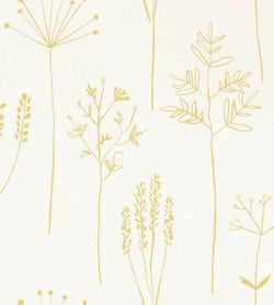 Color – Honey