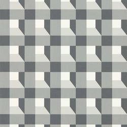 Color – Black Earth/Sketched/Diffused Light