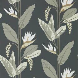 Color – Jet/Stone/Gold