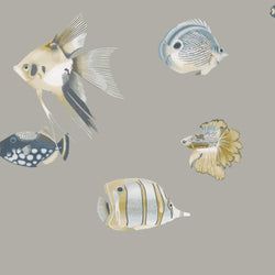 Color – Graphite/Mustard