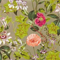 Color – Mulberry/Gilver