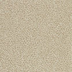 Color – Stone