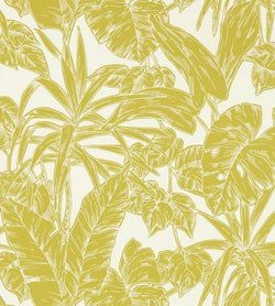 Color – Citrus