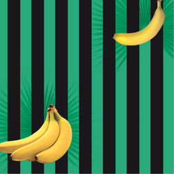 Couleur – vert