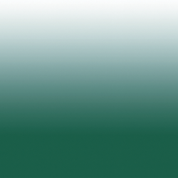 Couleur – vert forêt
