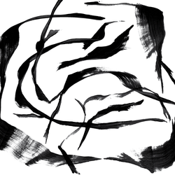Couleur – noir-blanc
