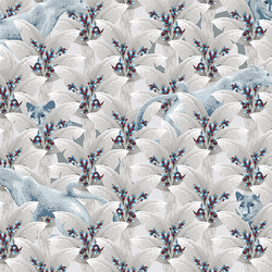 Couleur – neige