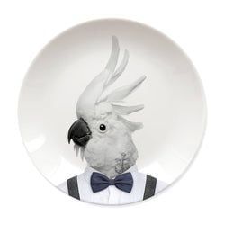 Colin Cockatoo