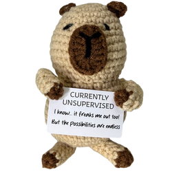 Design – Capybara