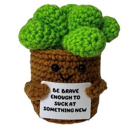 Design – Succulent