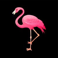 Design – Pink Paradise