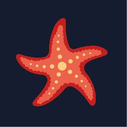 Design – Stella Marina