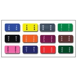Full Set - Color Code RINGBOOK Months (Jan.-Dec.) 12 Packs