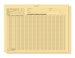 Option – Accounts Payable Voucher Env. - DSA-540 BUFF - Qty. 500