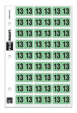 Option – Pack of 270 Year 2013 in Ring book Style