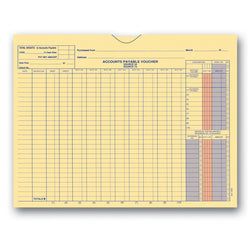 Option – Accounts Payable Voucher Envelope - A-1900 Buff - Qty. 100