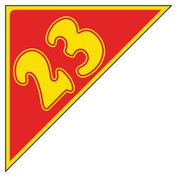 Option – Window Sticker - Auto Angles - Yellow & Red - 2023 - Qty. 12