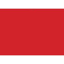 Vehicle Deal Jackets, Plain - DSA-500-RED - Box of 100
