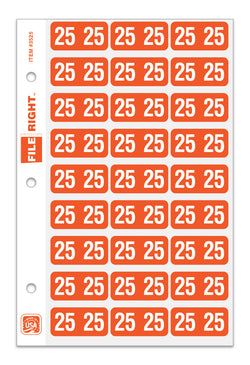 Option – Pack of 270 Year 2025 in Ring book Style